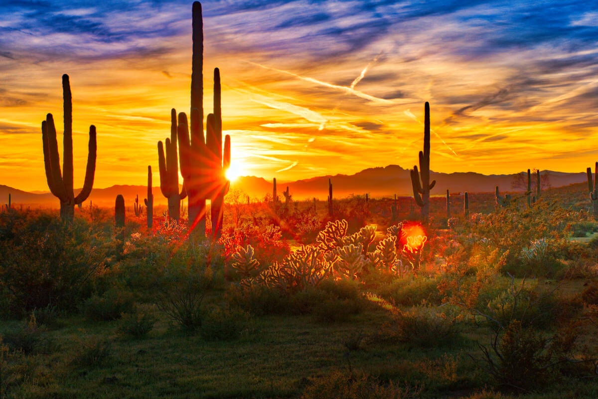 arizona-community-solar-program-would-deliver-billions-in-positive