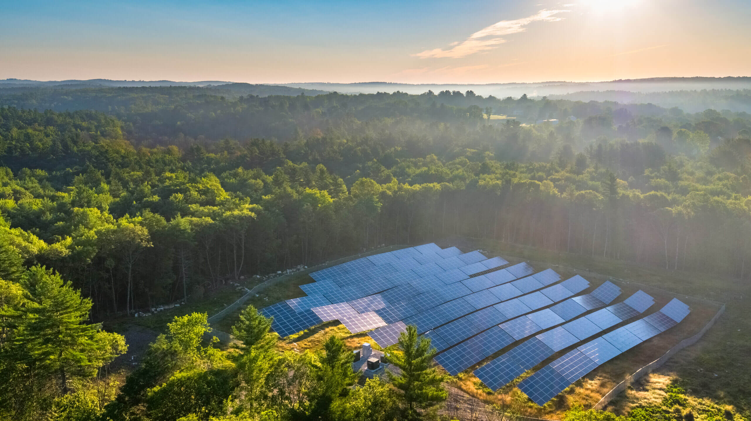 Ariel view of solar panels in the woods